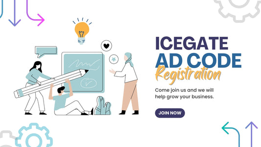 Icegagte dsc error