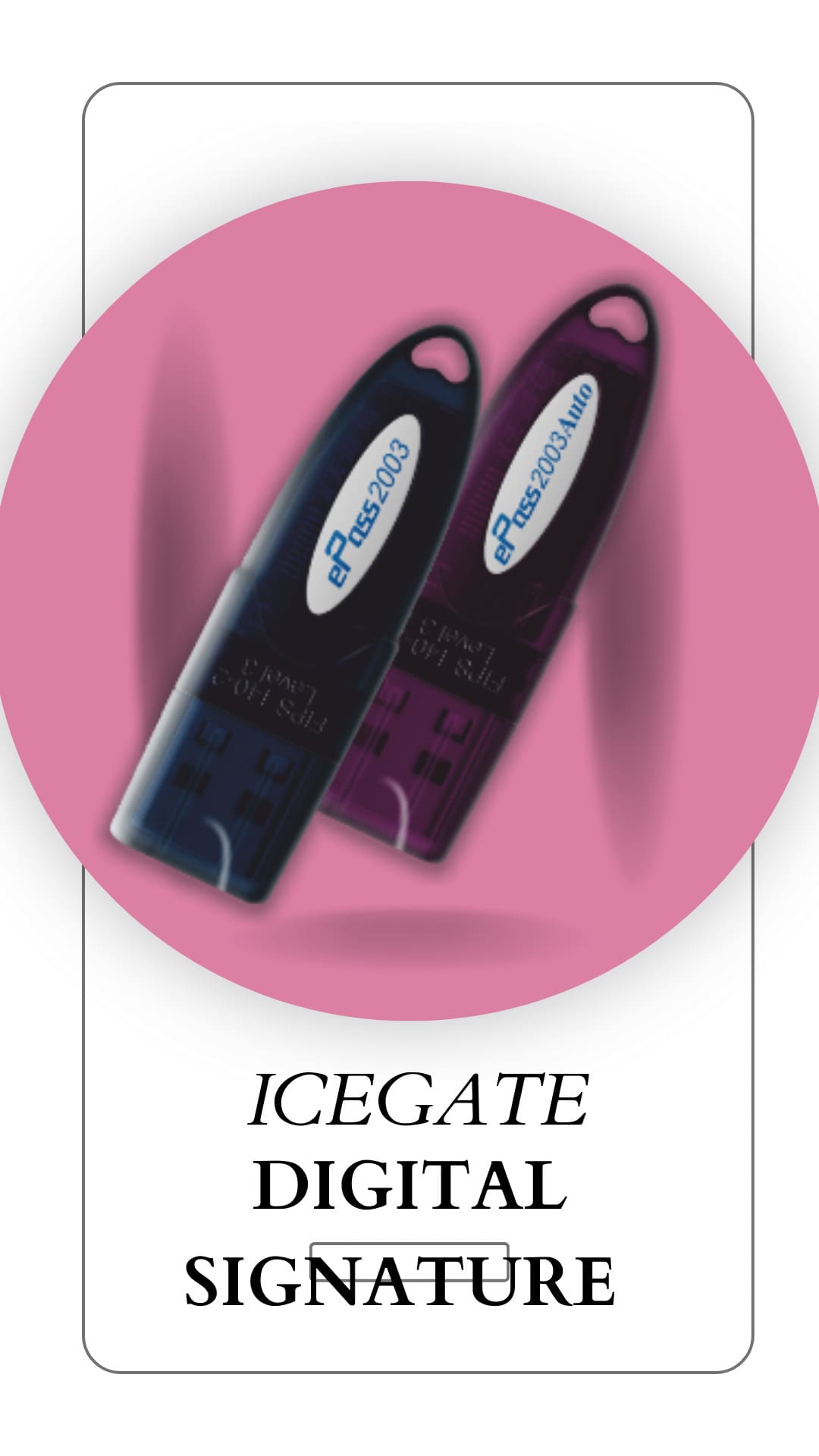 How do I get a digital signature for Icegate
